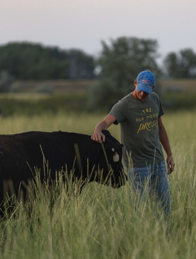 Man petting a black cow in a field.