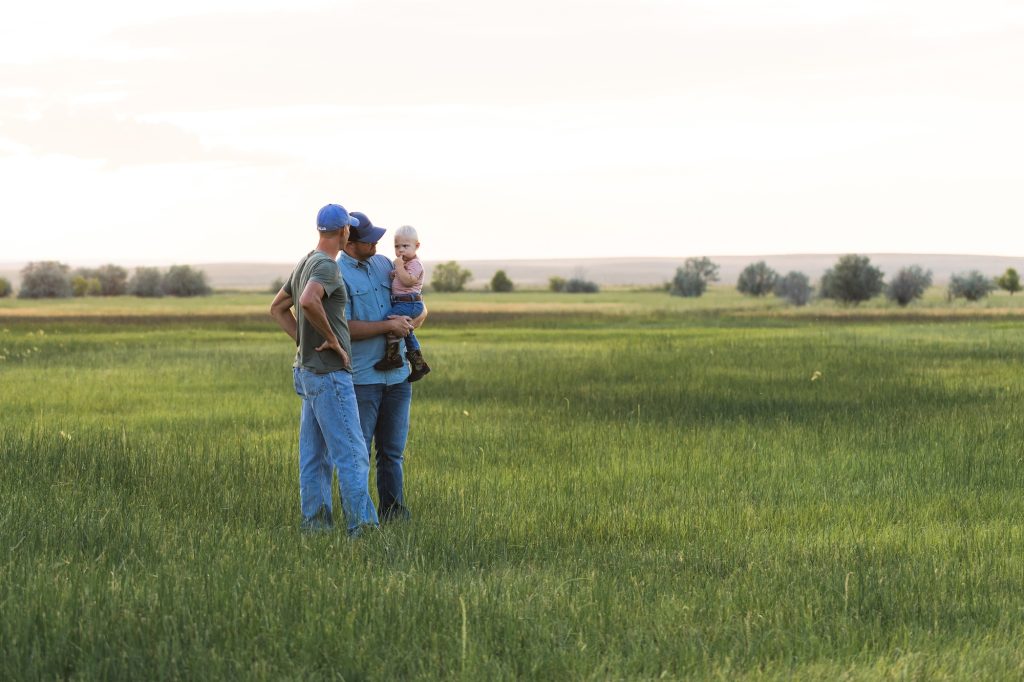 Three people standing in a grassy field.